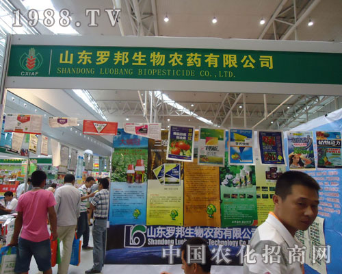 ɽ�|�_������y���½��r(n��ng)��������(chu��ng)�x��