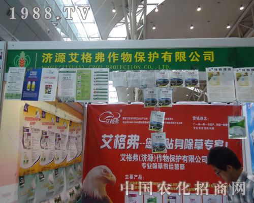 ���񸥡������N�����݌�����