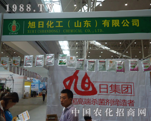 ����ˎ��������!