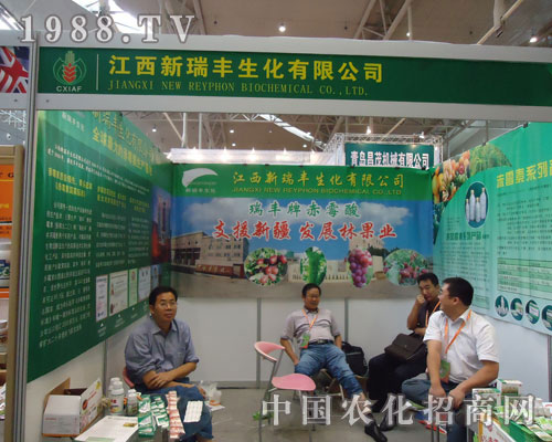 ���������S�����c�����Vʢ���S�՘���