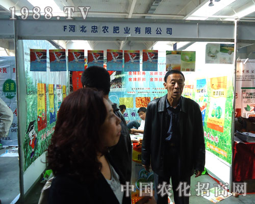 �ӱ����r�ʘI(y��)���������ݱ����|�����ϕ�