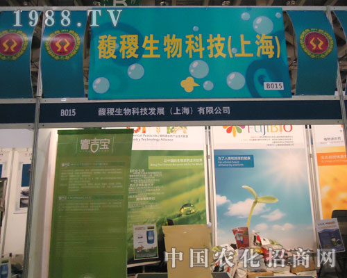 ������Ƽ��Ϻ�