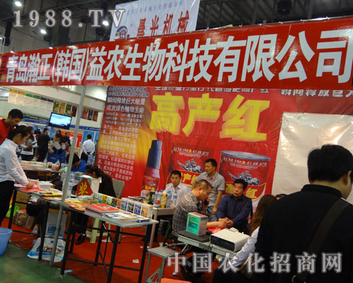 ���u����߮a�t