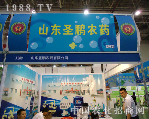 2011��B�Tֲ����(hu��)��ʥ�i�r(n��ng)ˎ�A���ǈ�