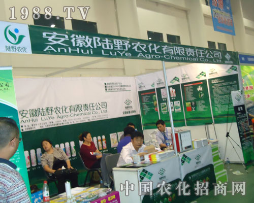 �����Ұ�r(n��ng)�������؄ڄ�(d��ng) ֻ�����