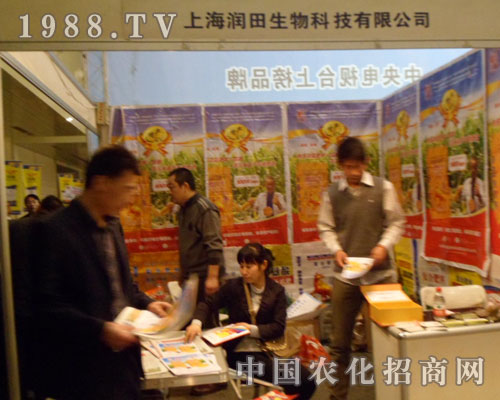 �Ϻ���������