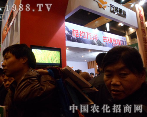 �f(w��n)��ʘI(y��)�������ݷ��Ͻ��ו�(hu��)