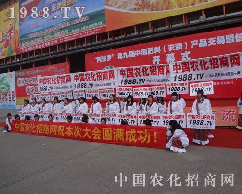 ���S�ʘI(y��)ȭȭ����������ԭ���ϕ�(hu��)