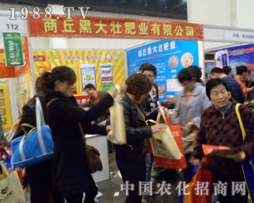 �ڴ�я��ݵ��2012���ݷ���չ