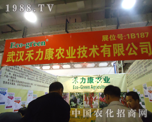 ��h�������c����s18��ɽ�|ֲ���p����(hu��)