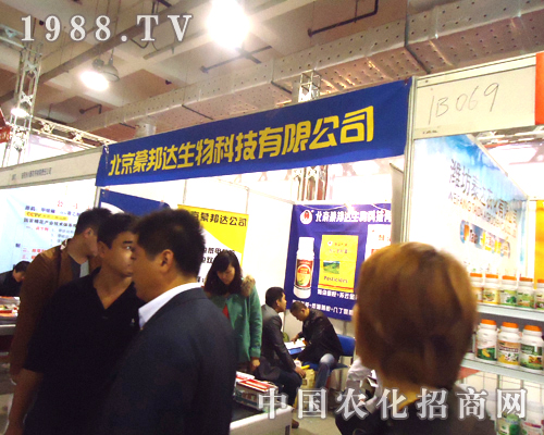 �ɰ��_(d��)���﹫˾�����c(di��n)ȼ��(j��)��ֲ��������