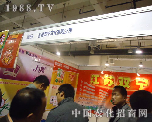 ���K�p�������̶������������v�w����