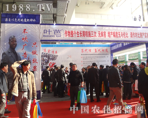 �~��ֻ��Ч����������ţ�ďV��