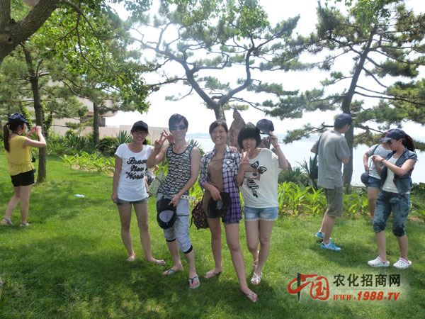 一群充滿青春活力的同伴