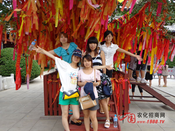 許愿樹下的美女們