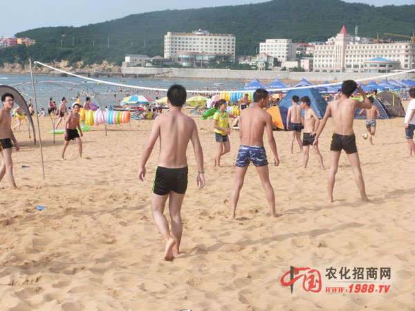 ��һ��ɳ������