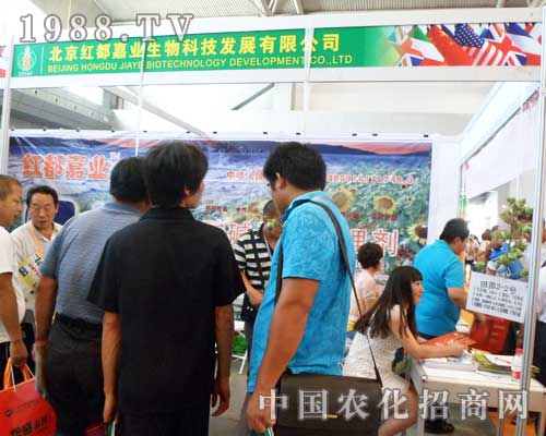 �����t���ΘI(y��)12���½��r(n��ng)������չλǰ���̲���