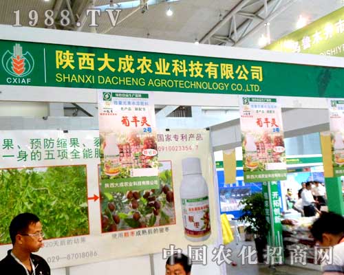 陜西大成農(nóng)業(yè)出展烏魯木齊農(nóng)博會，招商不斷