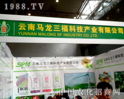 �R�������������p2012�½��r(n��ng)��չʢ�r