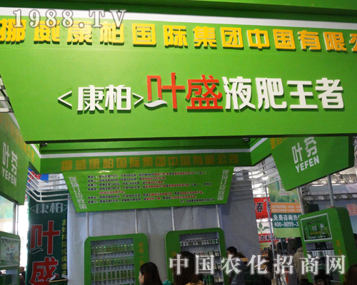 ��19��ɽ�|ֲ���p�����ϵĿ��ؼ��F