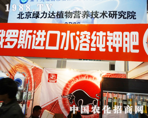 �����G���_ʢ�y��ϯ19�Ý���ֲ���p����