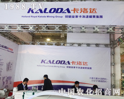 �����_(d��)��2013ɽ�|ֲ���p�������ի@���u