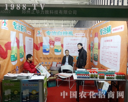 ���A�����x�S���ӵ�29���Ͼ�ֲ���p����