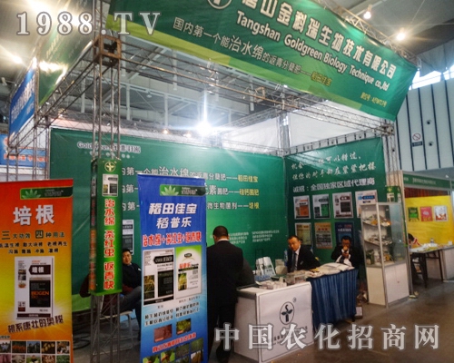 �����������2013�Ͼ�ֲ���p��������