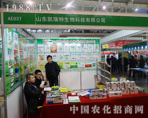 �P������2013�Ͼ�ֲ���p������������