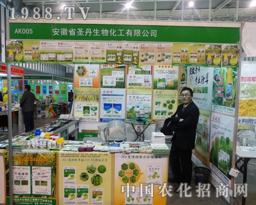 ʥ�������ڶ�ʮ�Ō��Ͼ�ֲ�����A���Ј����u(y��)