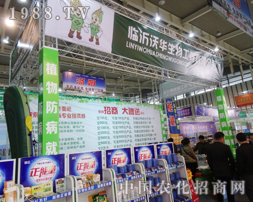 ���A�������\���ӵ�29��ֲ���p����