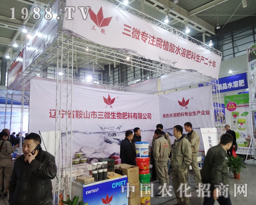 ��΢������29��ȫ��ֲ�������A���Ñ���A