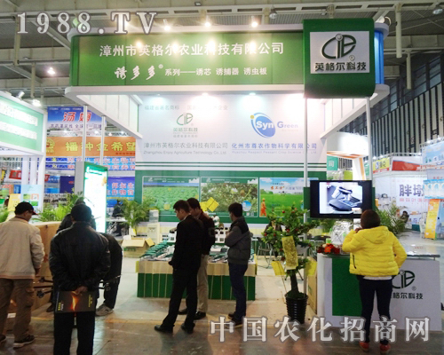 Ӣ���r�I(y��)��2013�Ͼ�ֲ���p�����Ͽ�������