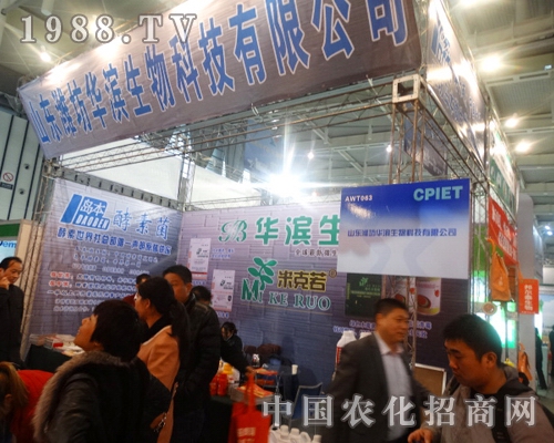 �A�I����