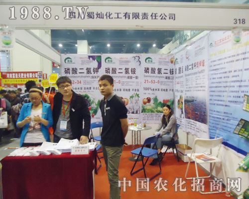 �Ĵ���N���o2013�������ݷ����p����(hu��)���ӡ��