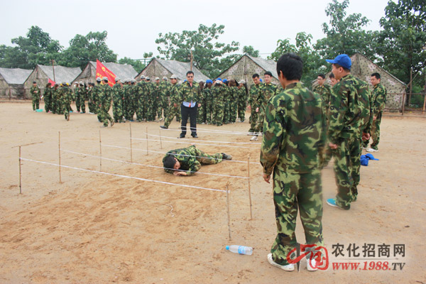 執(zhí)行力就是生產力