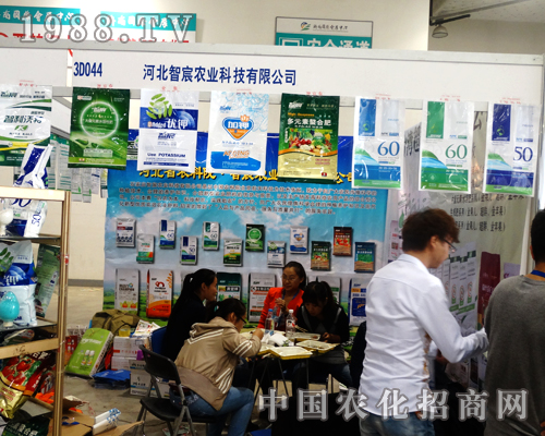 ɽ�|ֲ������ʯ���f��������ɹ�