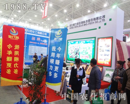 ����������Ŭ����2014����ȫ��(gu��)ֲ����(hu��)������