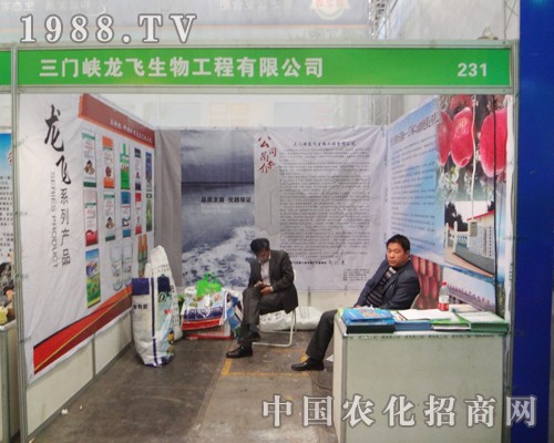 ���w�����J�慢��2014���Ϸ����p����