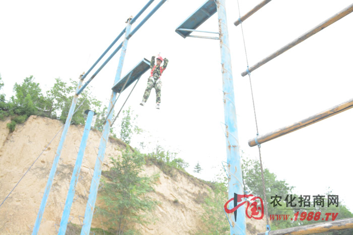 ��Щ����ֻ���ǲ����нY������ֻ�����˲�֪���Լ��ɲ�����