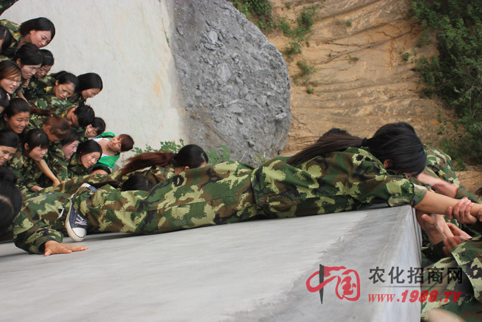 �ġ���������·���������I(y��)�����ɂ��Α��ǎ��o��Ҹ��|�Ӱ푵ăɂ��Ŀ��