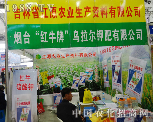 2014���ַ��ϕ�