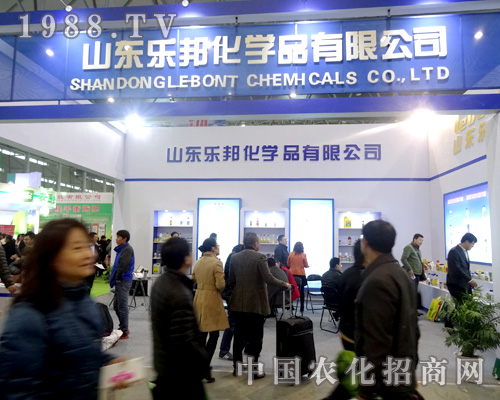 ��(l��)��W(xu��)����ȫ��(gu��)ֲ����(hu��)