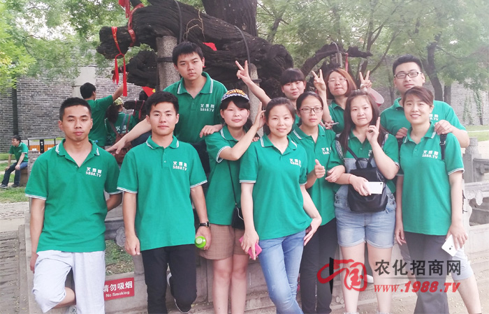 �������������^���⡪����̩ɽ֮��