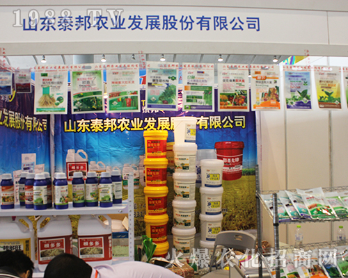 ɽ�|̩���r�I(y��)���ݳ���2016�V���r�Y���ו�