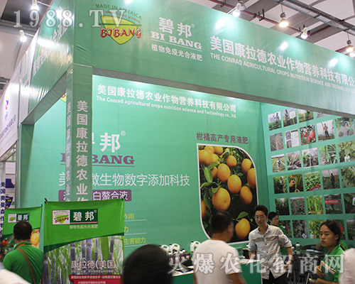 ������������2016�V���ό��r�Y���ϲ��úóɿ�