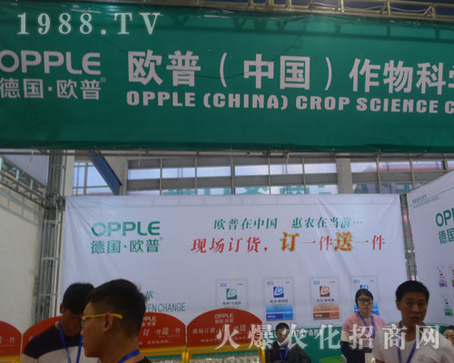 �W��������2016�����ֲ����������