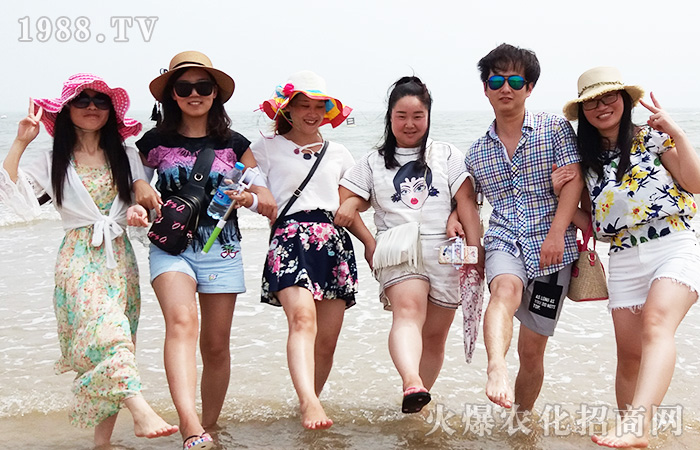 �泯�������w��