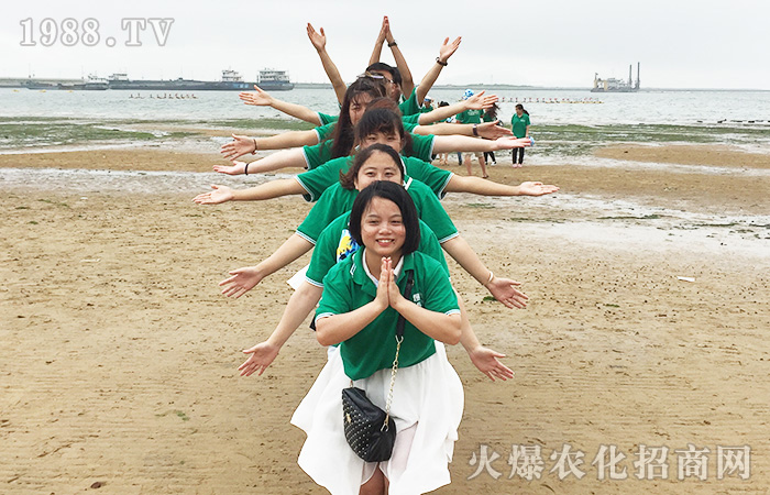 ���w���飬������