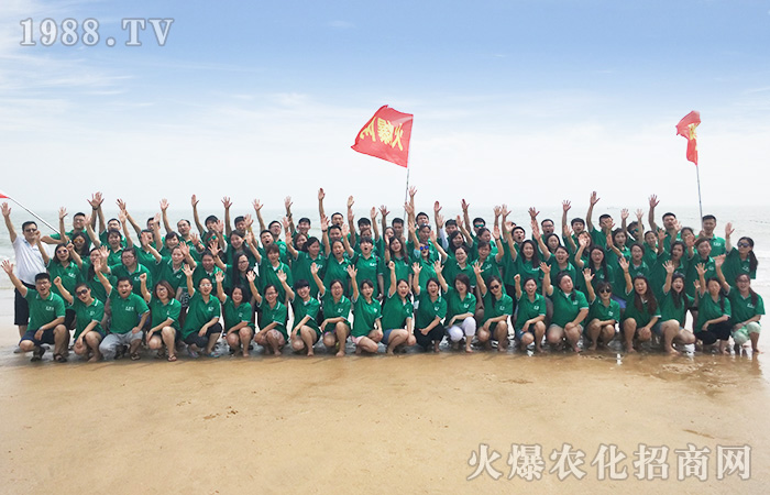 ���w������������